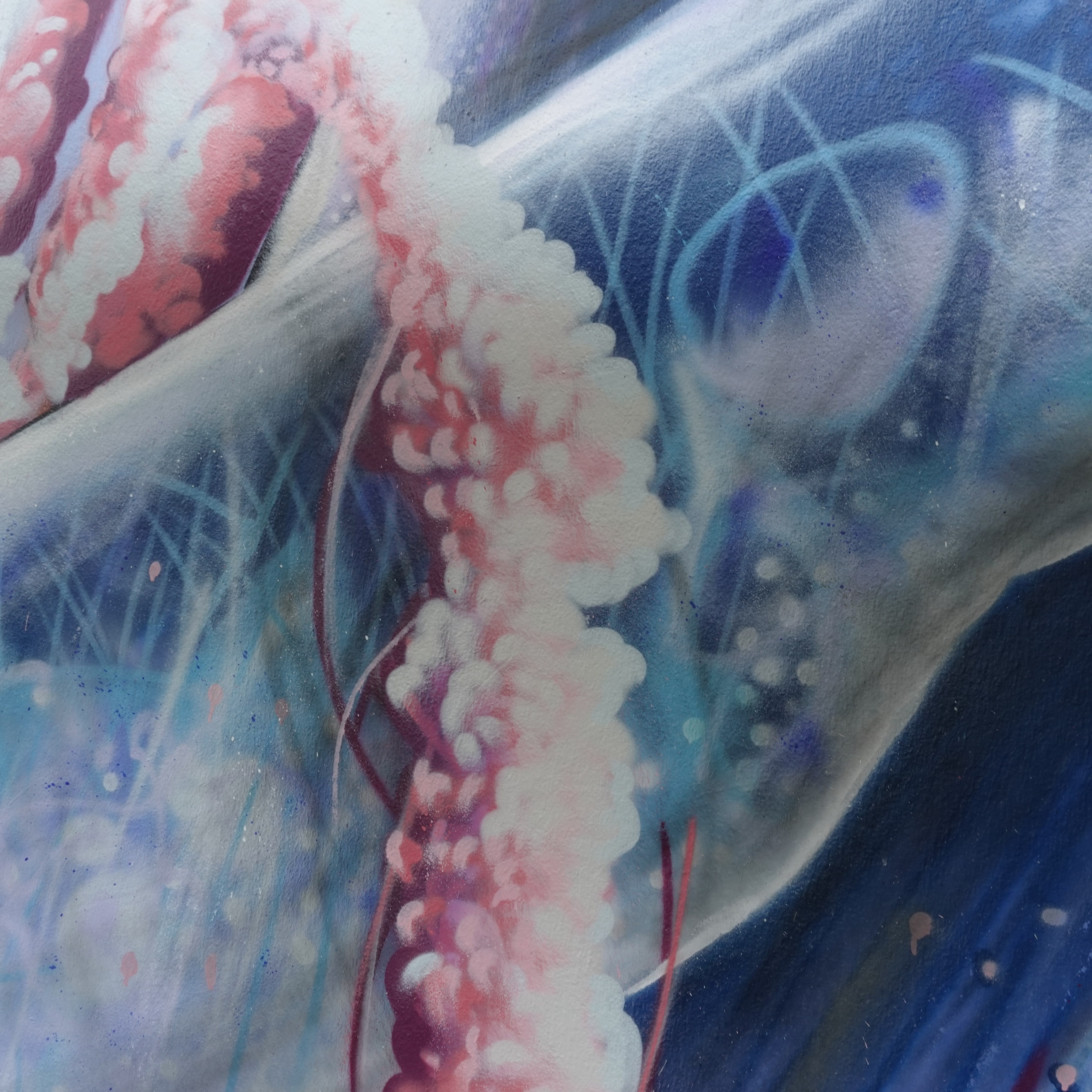 Baleine stylisée 2